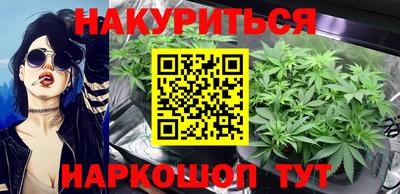 спиды Новодвинск