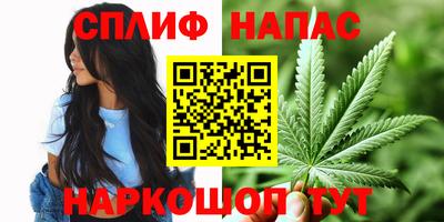 спиды Новодвинск