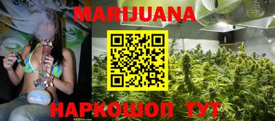 спиды Новодвинск
