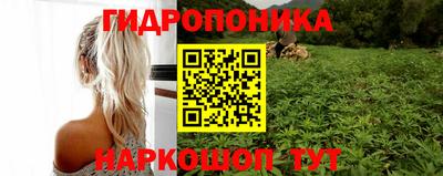 соль ск Новозыбков