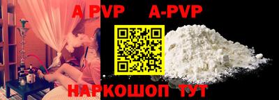 спиды Новодвинск