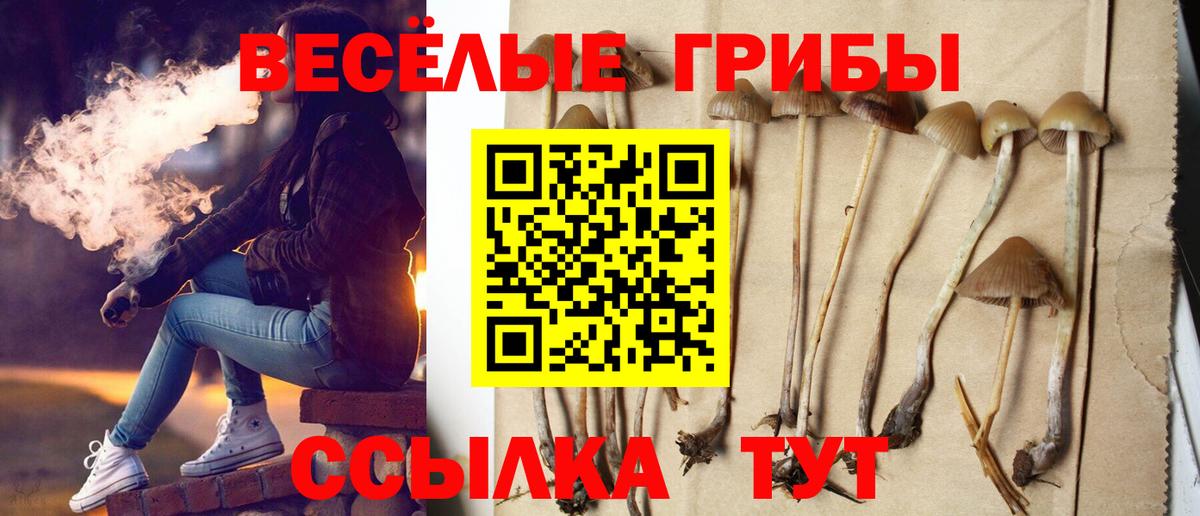 Псилоцибиновые грибы мицелий Тольятти