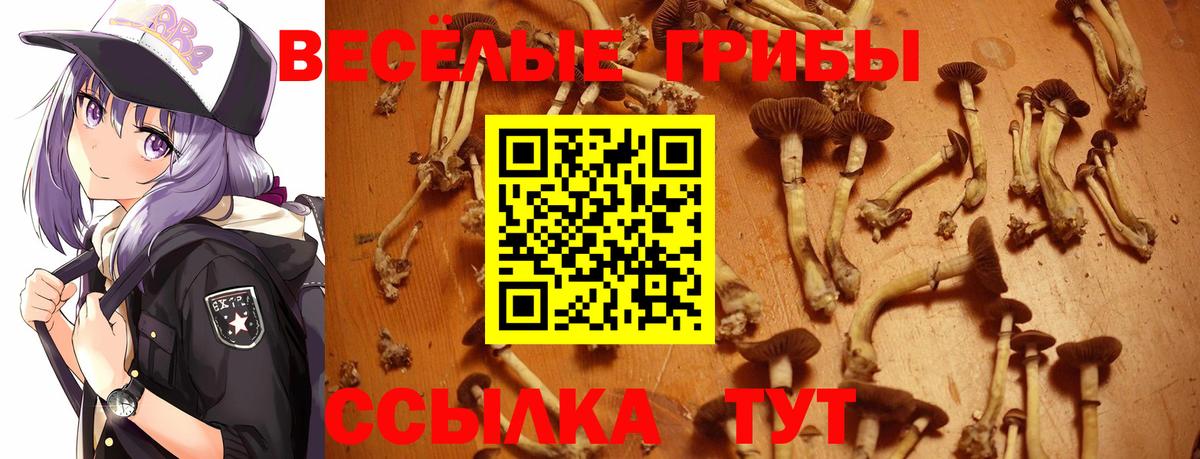 Галлюциногенные грибы ЛСД  как найти закладки  Тольятти  Вход с VPN 